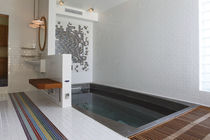 stainless steel swim spa   Diamond Spas
