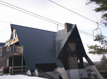 steel standing seam roofing sheet DUTCH SEAM ATAS International Inc.