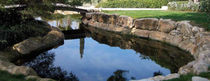 stone garden pond  WATERWORLD