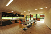 structural glued wood panel: cross-laminated CLT Timbory