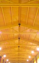 structural sandwich panel: wood  Lanik