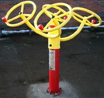 tai chi wheel CW13 Caloo