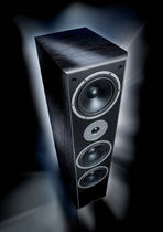 tower speaker MONITOR SUPREME 1000 MAGNAT