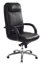 traditional executive leather armchair BRAZILIA Caray collectivites