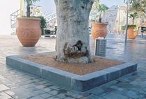 tree edging PIERRE Sitinao