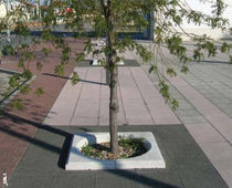 tree grate SOLTAS Grupo Amop Synergies