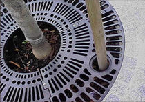 tree grate AGORA GHM