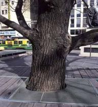 tree grate  Johnson Screens