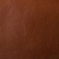 upholstery leather CITATION Moore and Giles
