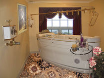 vichy shower V-07-OT RMS