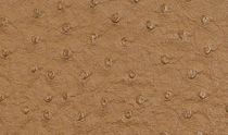 vinyl wallcovering PHOENIX Roos International LTD, Inc.
