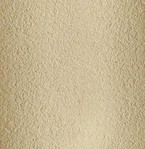waterproof coating for facade RIALTO ERALIT Sandtex