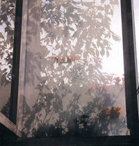 window fly screen  EMIS FRANCE