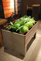 wood and metal planter for public spaces CULT  TRADEWINDS
