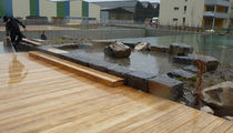 wood deck board  Accsys Technologies