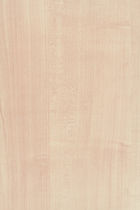 wood decorative HPL laminate ORIGINE PREMIER: ERABLE NORDIQUE polyrey