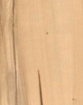 wood decorative HPL laminate EXTRA MAT: HEART APPLE Resopal