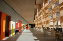 wood fiberboard mixed with cement sound absorption panel ATUARFIK HANS LYNGE SCHOOL, GREENLAND Troldtekt A/S