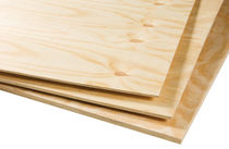 wood panel: plywood ELLIOTIS Silverwood