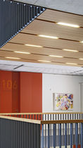 wood sound absorption panel DEWETON&reg; TAVAPAN SA