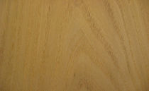 wood veneer ACACIA Decospan