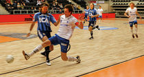 wooden sports floor for multipurpose gyms MONDOELASTIC MONDO
