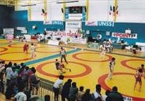 wrestling mat TEACHING MAT GYMNOVA