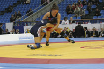 wrestling mat COMPETITION GYMNOVA