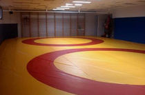 wrestling mat CLUB Modugame
