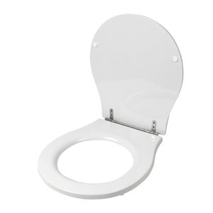 toilet seat