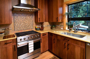 furniture panel / wood / for interior fittings