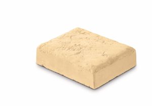 concrete paver / pedestrian