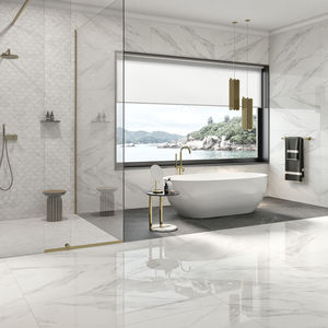 indoor tile / wall / floor / porcelain stoneware