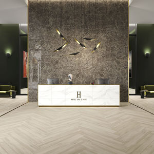 indoor tile / wall / floor / porcelain stoneware