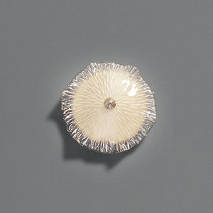 contemporary wall light / bronze / Murano glass / LED