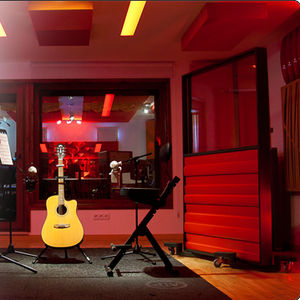 wall-mounted acoustic panel / foam / colored / commercial