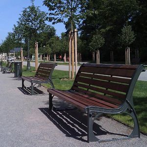 public bench / traditional / wooden / cast iron