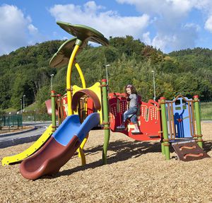 plastic play structure / steel / HPL / for playgrounds
