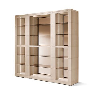 contemporary display case / wooden