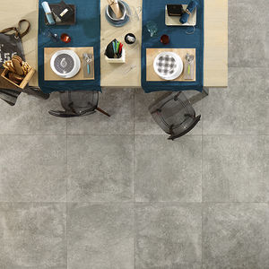 indoor tile / wall / floor / porcelain stoneware
