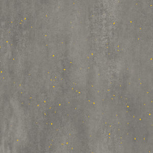 indoor tile / wall / floor / porcelain stoneware