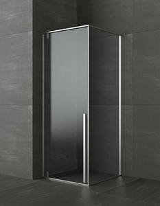 swing shower screen / corner
