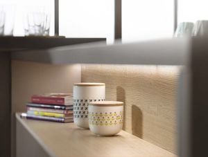 contemporary kitchen / wood veneer / oak / Corian®