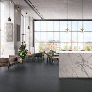 indoor tile / wall / floor / porcelain stoneware
