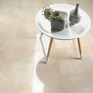 indoor tile / wall / floor / porcelain stoneware