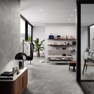 indoor tile / wall / floor / porcelain stoneware