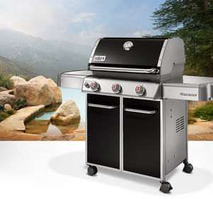 gas barbecue / on casters / steel