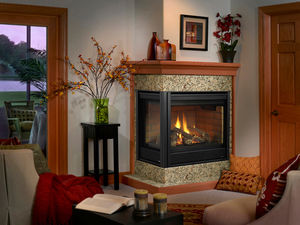 gas fireplace / traditional / closed hearth / corner