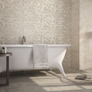 indoor tile / wall / floor / porcelain stoneware