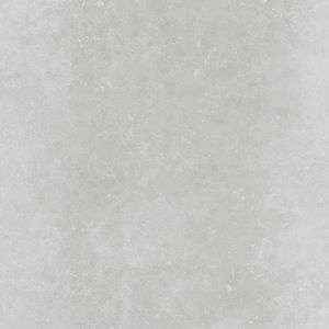 indoor tile / wall / floor / porcelain stoneware